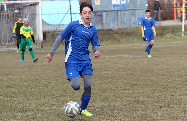 使得南京的 使得南京的