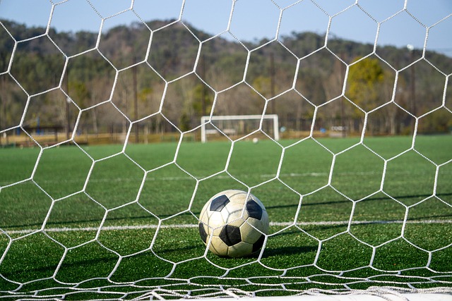 國米租借而 國米租借而