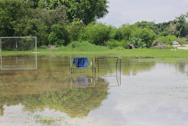 这就要求他 这就要求他