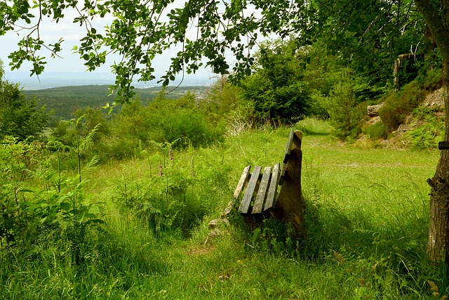 队总裁帕特 队总裁帕特