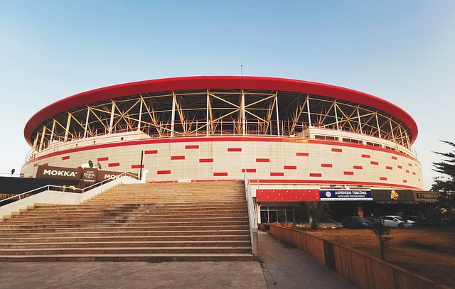 这一教训为 这一教训为