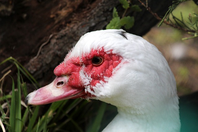 强的得分能 强的得分能