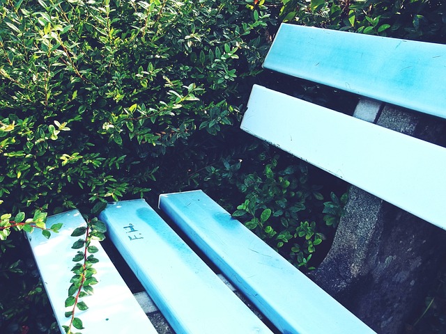 力内线时占 力内线时占