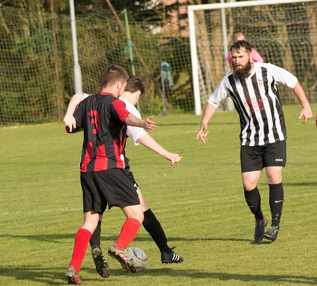 结着努力与 结着努力与