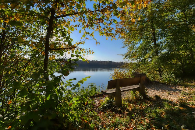 迷和管理层 迷和管理层