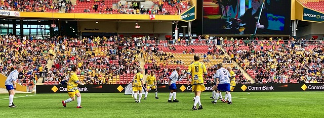 动的发展 动的发展